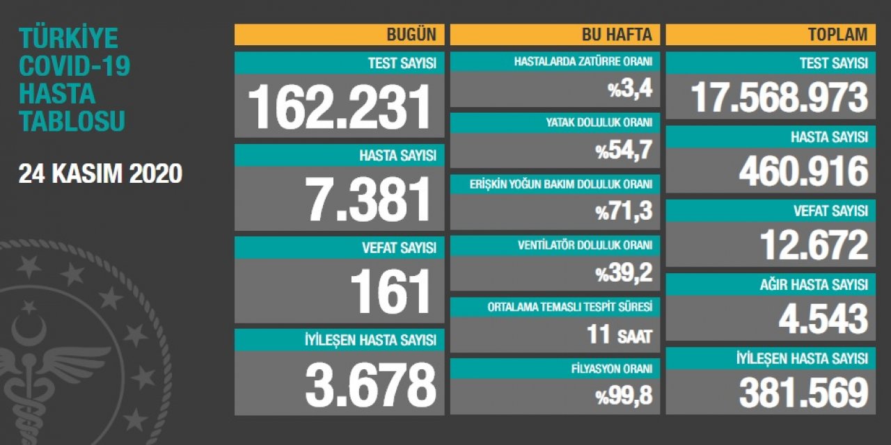 Türkiye'de koronavirüsten 161 kişi daha hayatını kaybetti! 7381 yeni 'hasta' var