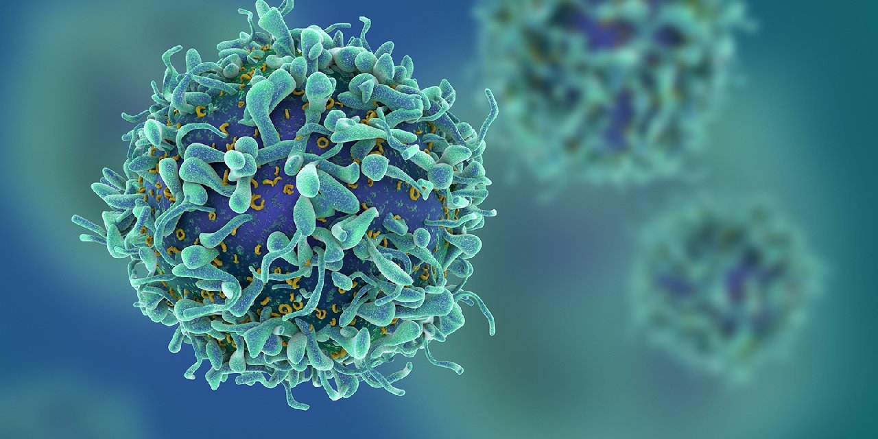 Türkiye'de her yıl 37 bin kişi akciğer kanseri nedeniyle hayatını kaybediyor: 'Sigaranın yüzde 90 sorumluluğu var'