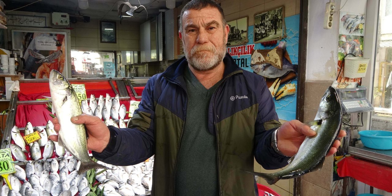 Palamudun önünü lüfer kesti: Palamut seyrek, lüfer 450, hamsi 100, istavrit 100, çipura 200, levrek 250 TL