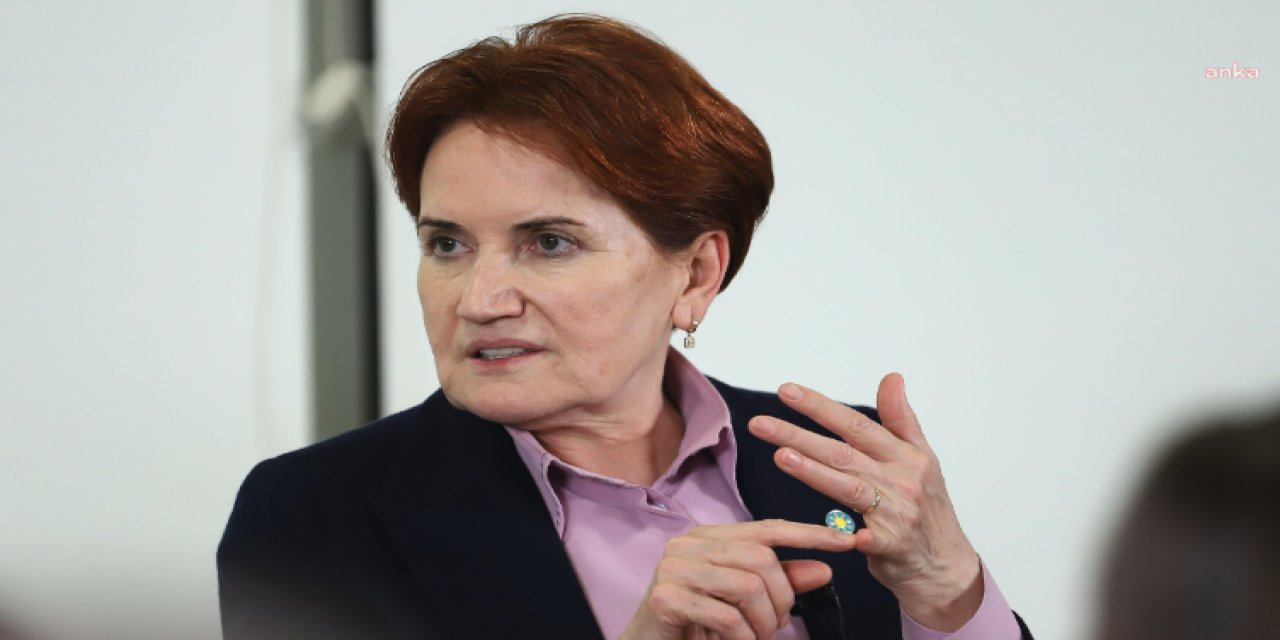 Akşener'den istifalar sonrası ilk açıklama: Seçilirken bir sorununuz yoktu