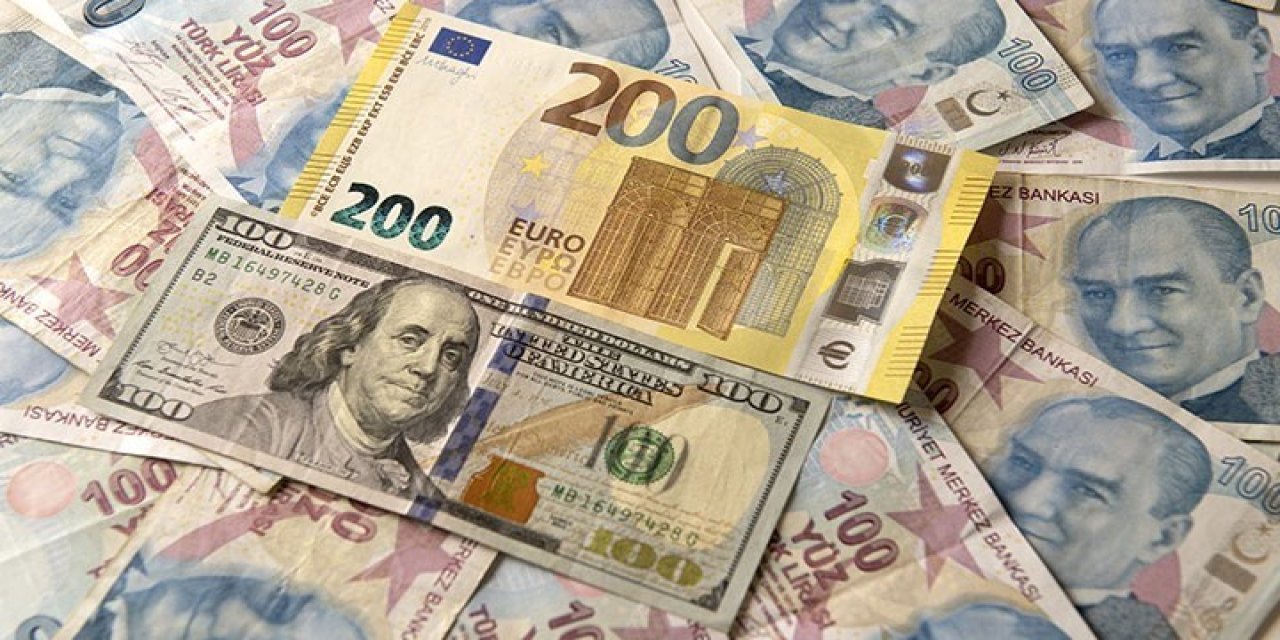 Euro 31,5 liranın üstüne çıktı