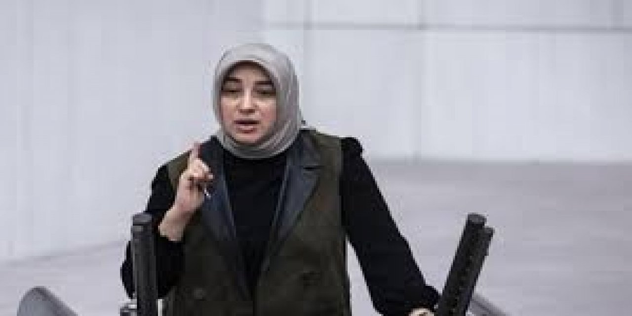 AKP'li Özlem Zengin "Bir cinayetin kadın cinayeti olduğunun tespiti çok zor"