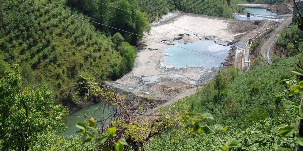Bakanlık, Ordu'daki ormanlara yapılmak istenen maden projelerine onay verdi