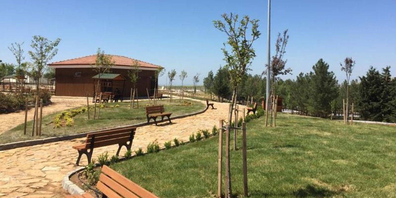 Depremin etkisinin sürdüğü Kahramanmaraş'ta Millet Ormanı projesi için 4 milyonluk ürün alındı