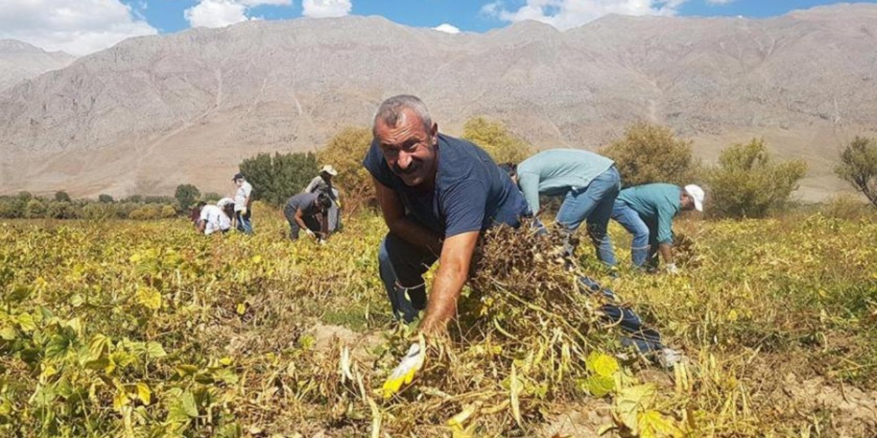 Maçoğlu hakkındaki 'başka partiden aday olacak' iddiasını yanıtladı