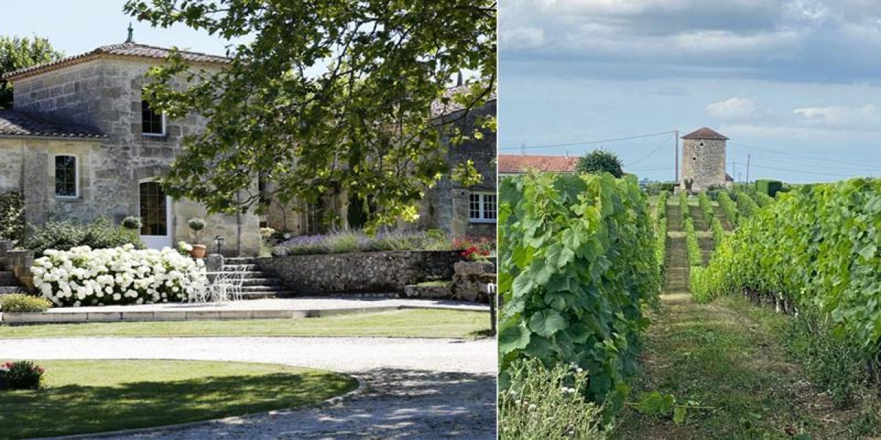 Ertuğrul Özkök: Fransa'da bağ ve şato alan üç Türk ve bir ünlü ressam