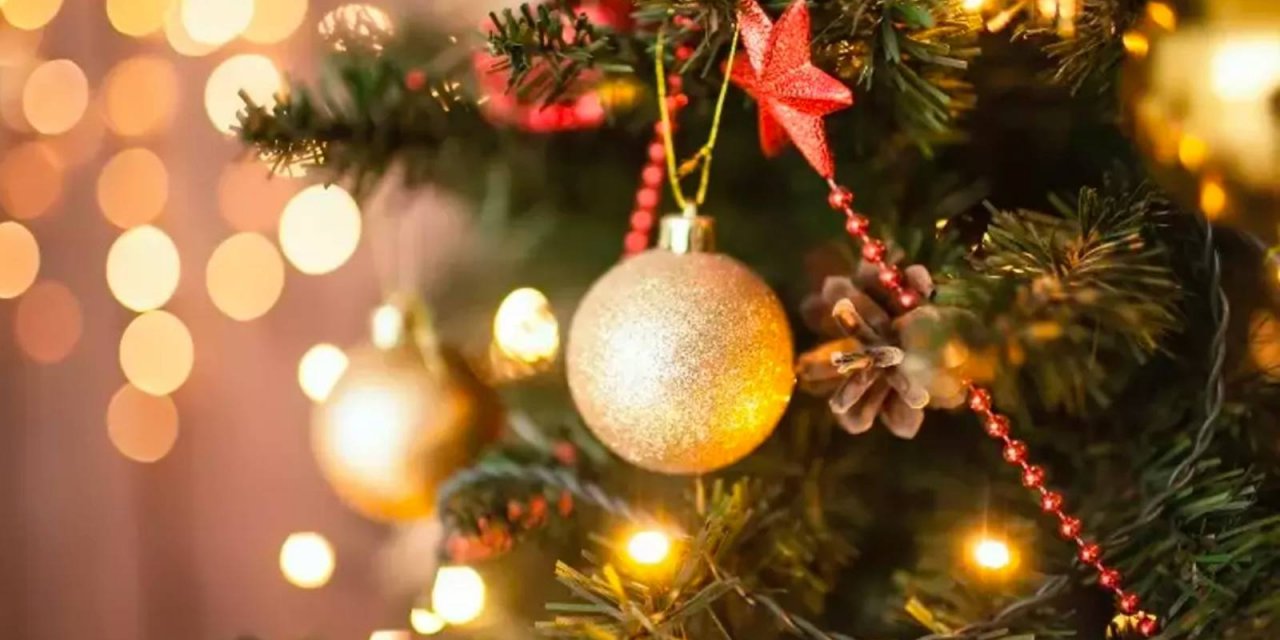 Ertuğrul Özkök: Yılbaşına milli ve yerli ayarı geldi; çam ağacı yasak, ahlat ağacı serbest