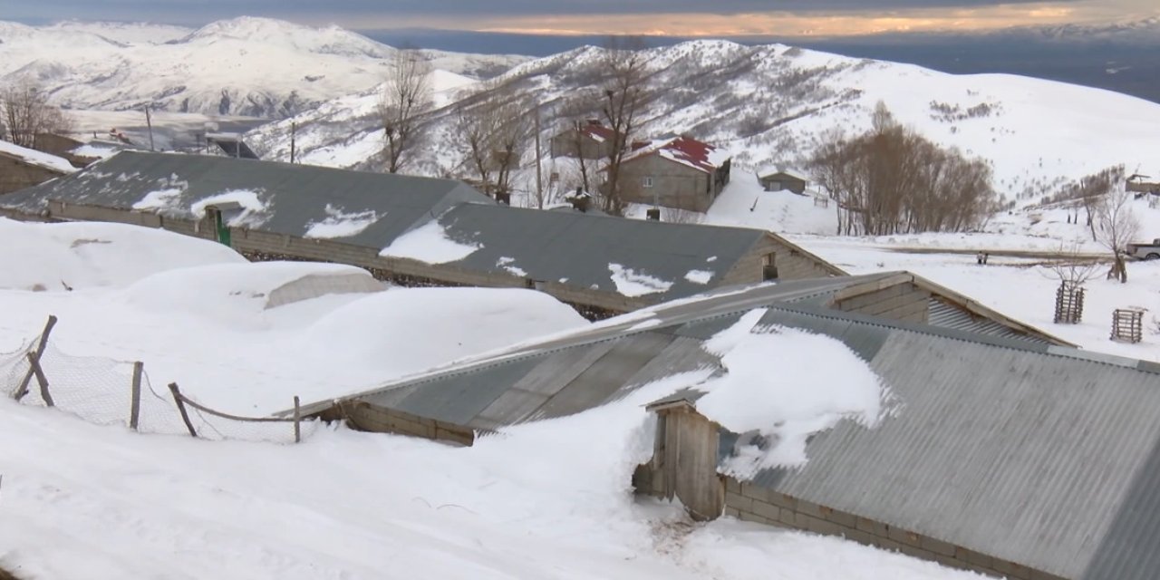 1800 rakımdaki köyde ev ve ahırlar kara gömüldü