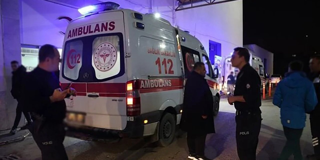 Balon balığı yediler, hastanelik oldular