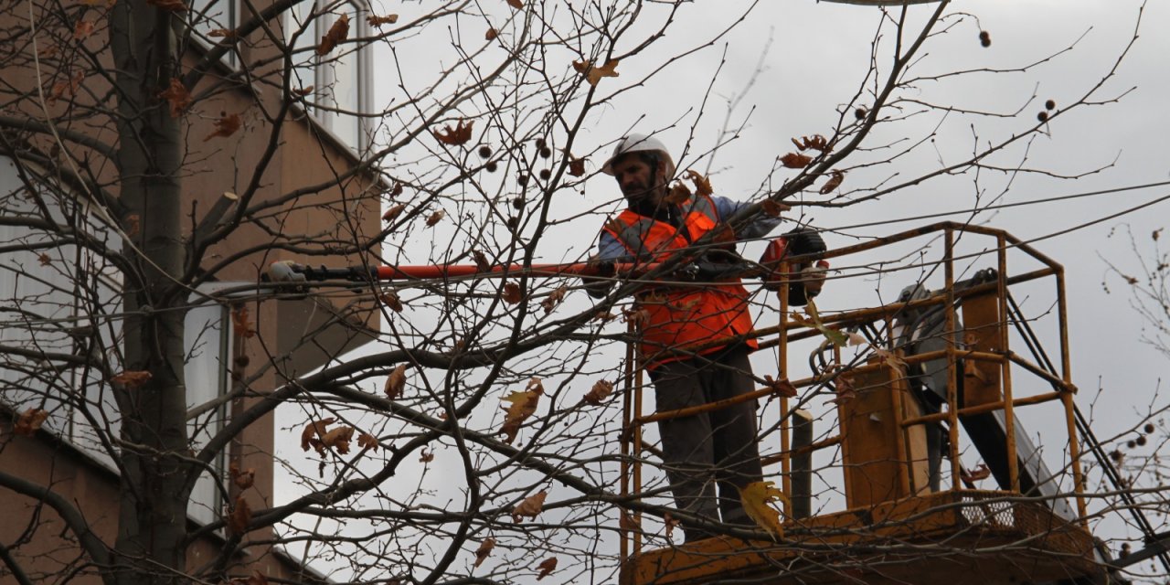 Kartal’da Budanan Ağaçlar İhtiyaç Sahiplerine Yakacak Olarak Geri Dönüyor