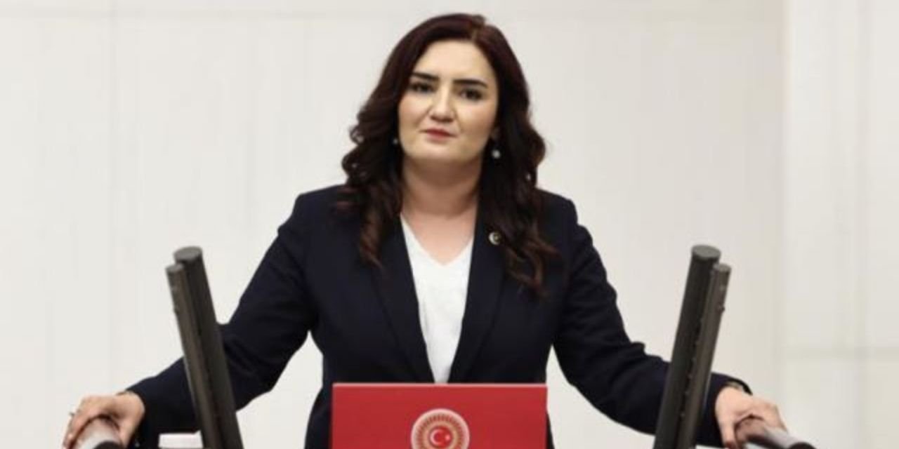 CHP'li Kılıç'tan Epstein davasını bakanlıklara sordu: Haberiniz var mı?