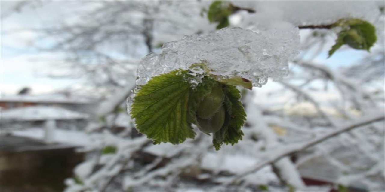 Fırtına... Sağanak... Don... Meteoroloji'den kritik uyarı!
