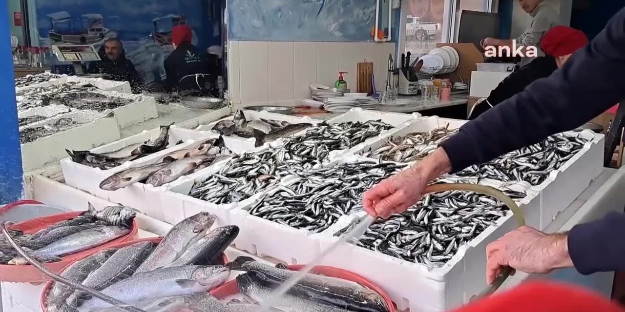 Balık pahalı, yerli halk değil, Gürcüler gelip alış veriş yapıyor