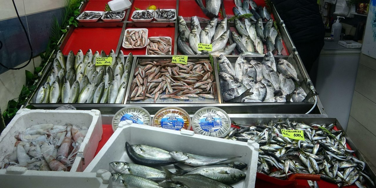 Av yasağı sonrası Marmara Denizi'nde hamsi bolluğu