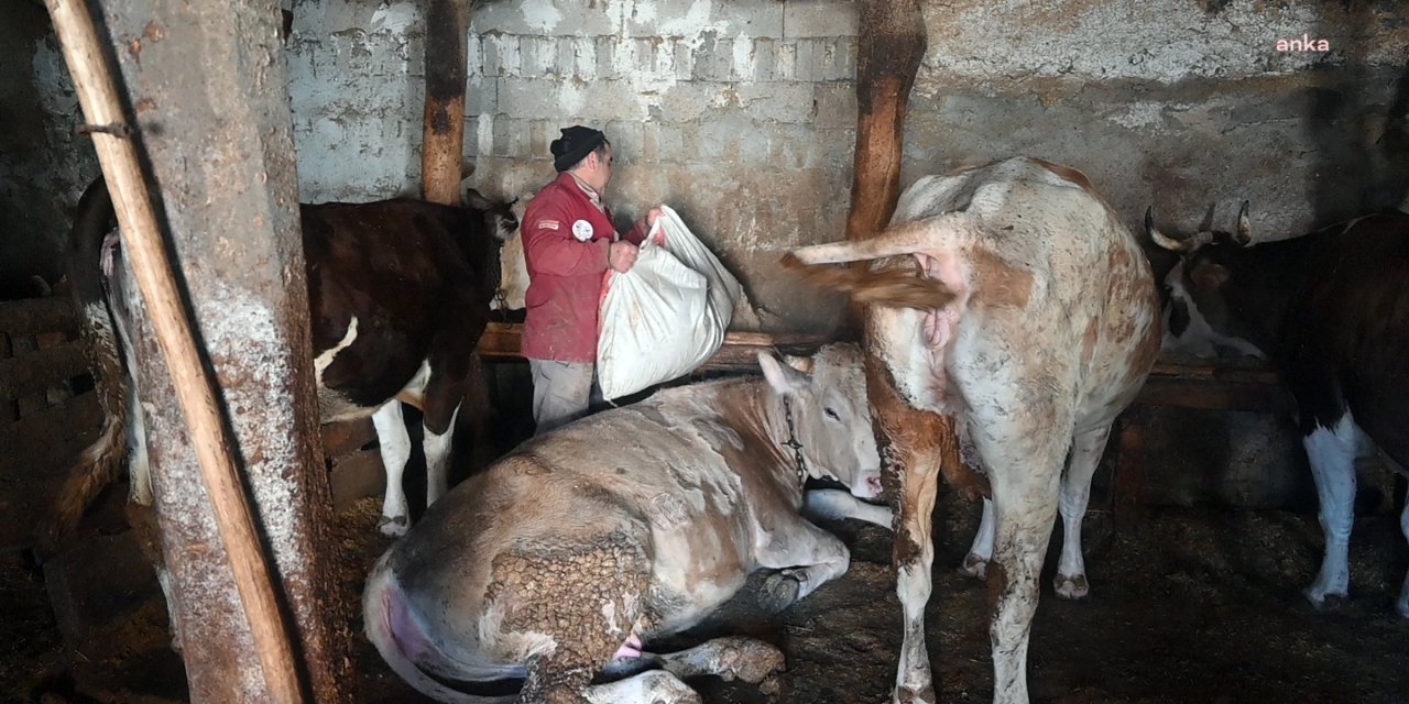 Asgari Ücretli ve Emekli Müşterilerine Daha Ucuz Süt Veriyor