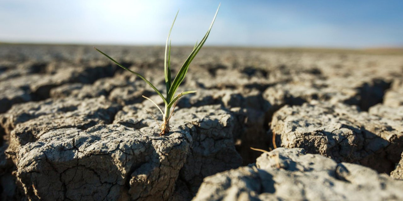 İklim değişikliğinin sonucu: Sıcak, kurak Şubat