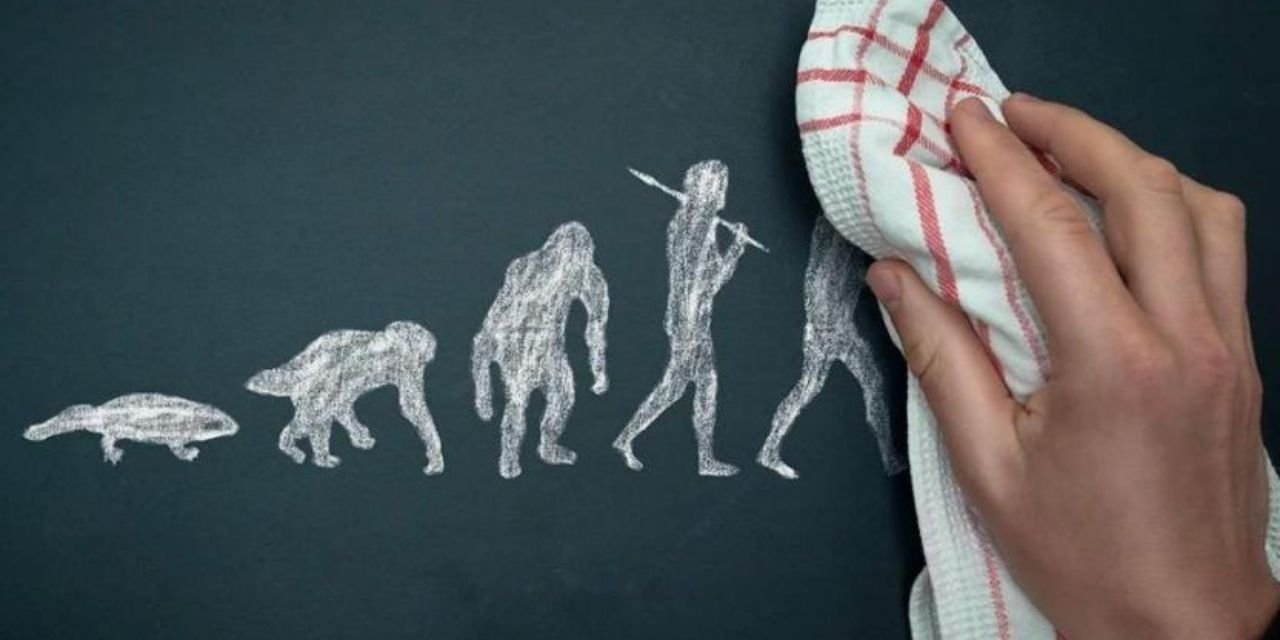 MEB liselerdeki biyoloji müfredatına evrim karşıtı 'yaratılış felsefesi' ekleyecek