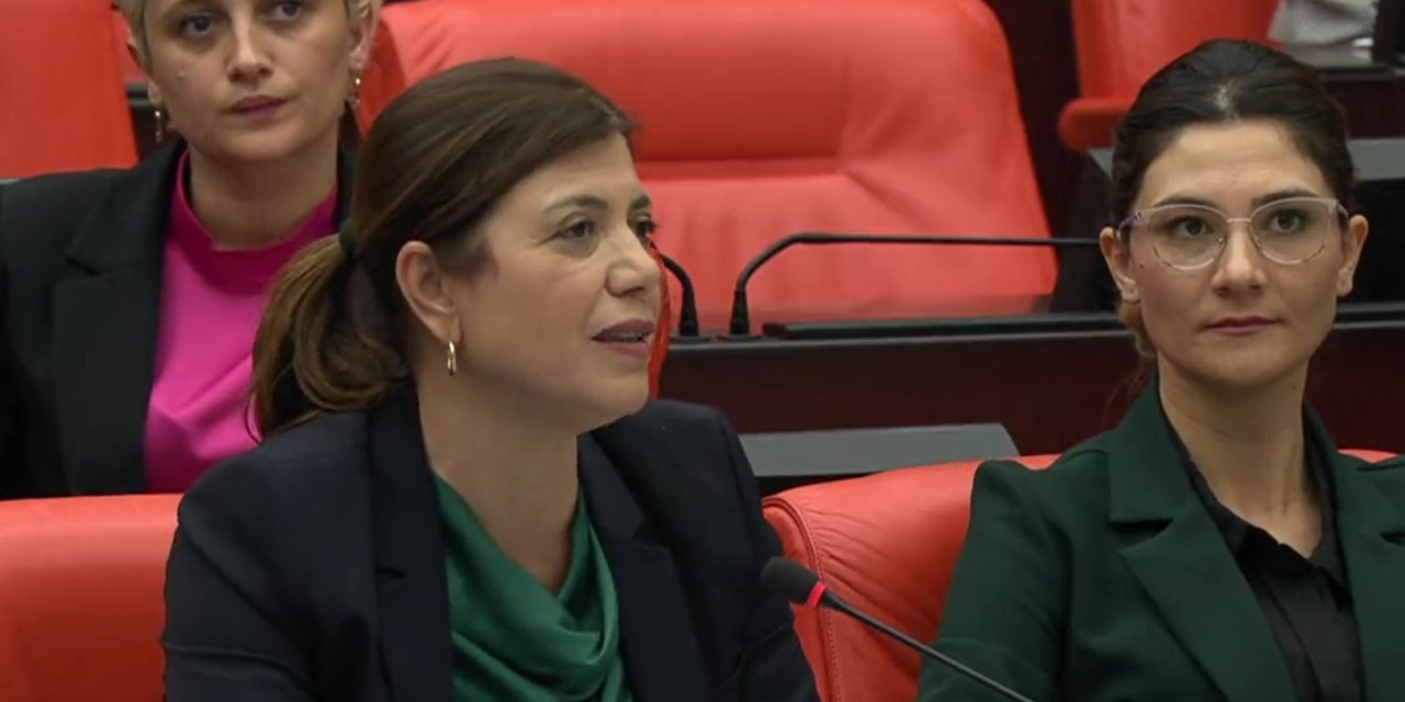 Meral Danış Beştaş: Başak Demirtaş’ın adaylık düşüncesini parti biliyordu