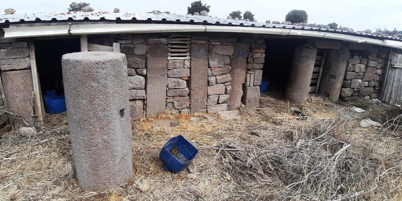 Assos’ta Bizans döneminden kalma tarihi sütunlar ahır kolonu oldu!