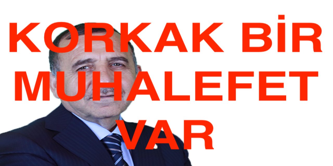 Prof. Karslı: İktidar, muhalefet korkak olduğu için ayakta kalıyor