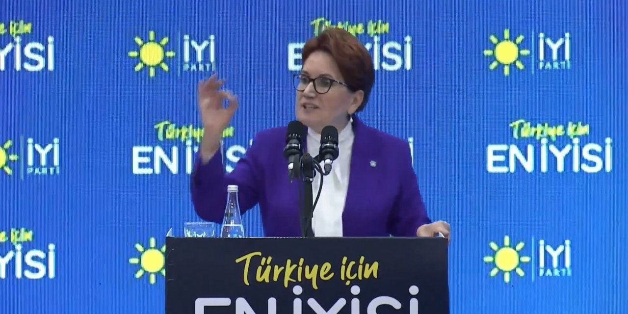 Akşener'den YSK'ye Ordu tepkisi: Milletimizden aldığı helali, hırsızların masasına haram olarak sunmuştur