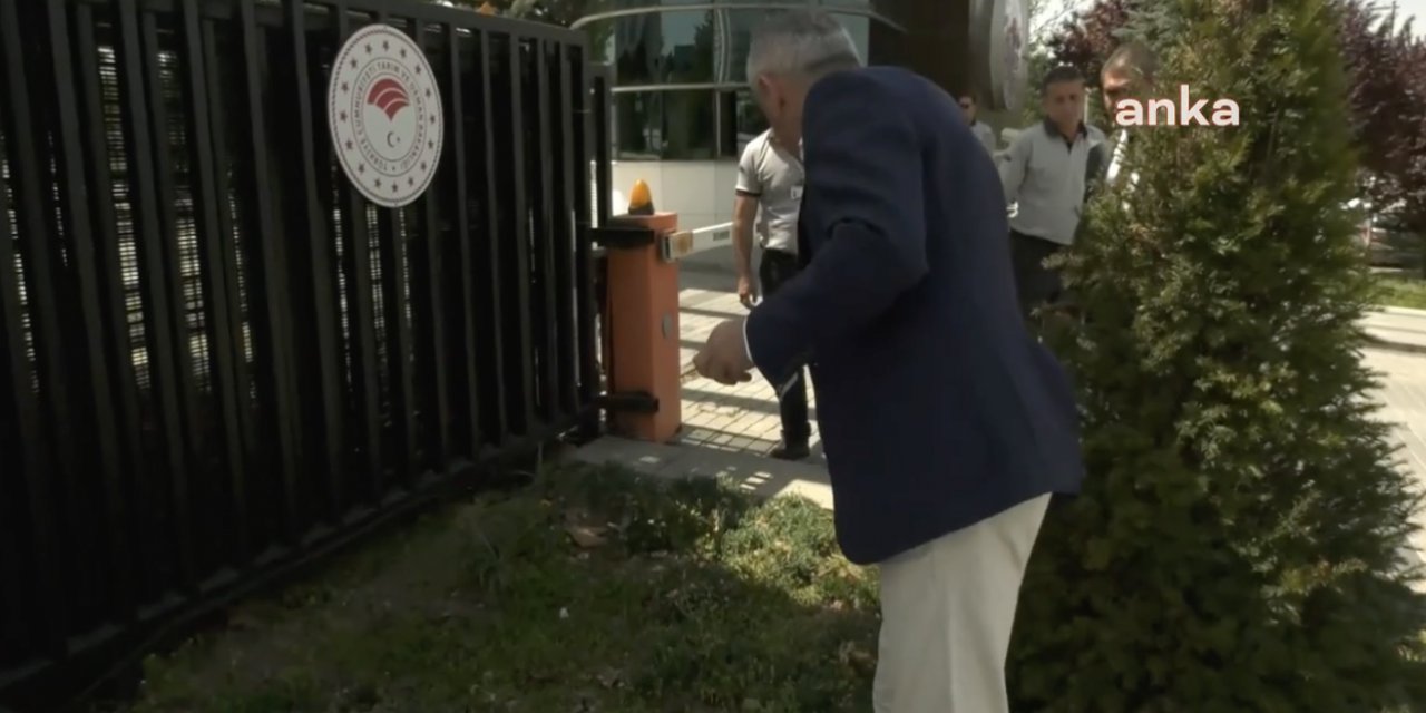 CHP'li Adıgüzel, Karadeniz'i istila eden kokarca böceklerini Tarım Bakanlığı önüne bıraktı