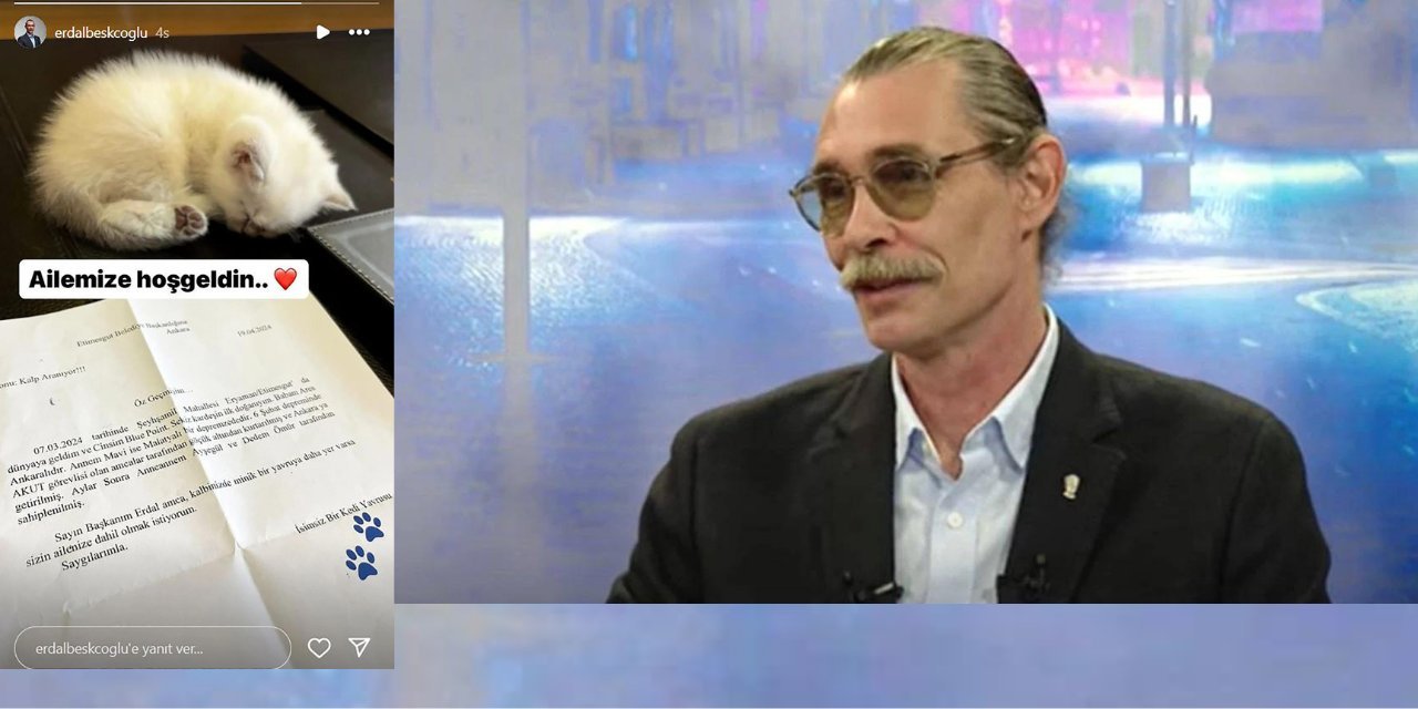 Erdal Beşikçioğlu depremzede kedinin yavrusu Mavi'yi sahiplendi