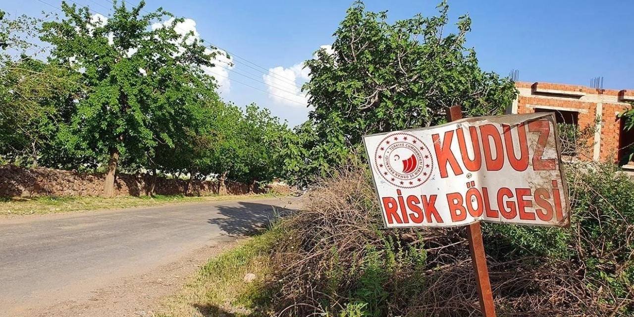 Kuduz vakası: Hatay’da 2 mahalle karantinaya alındı