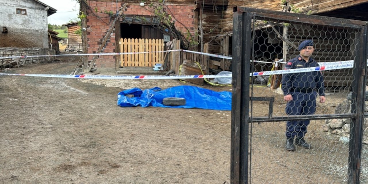 Eski muhtar, yeni muhtarı öldürdü