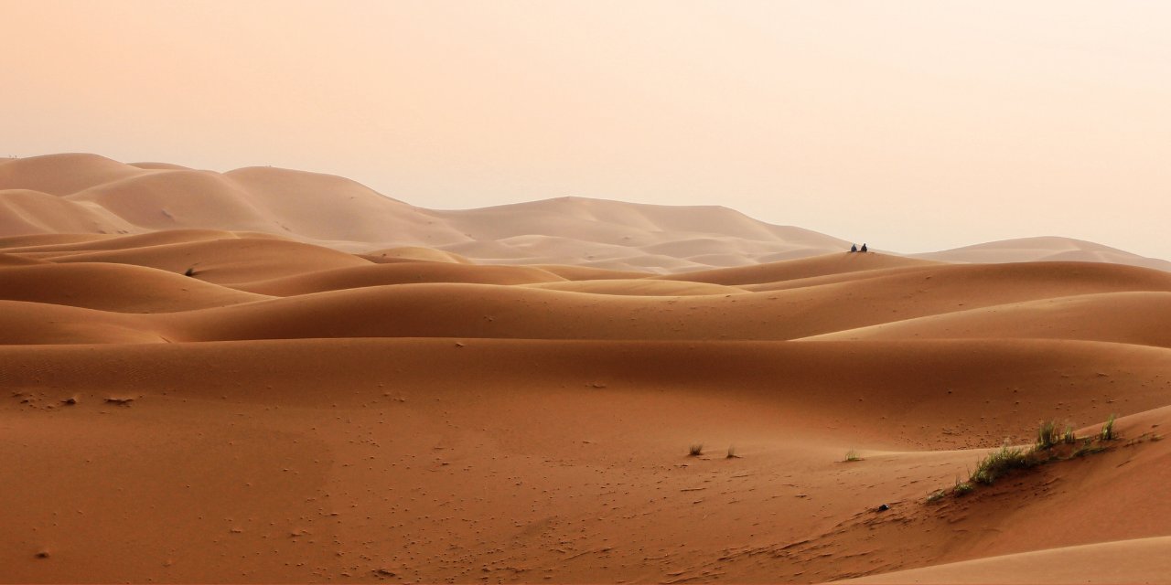 Çölde 'ekolojik şehir' için 'vur emri' iddiası