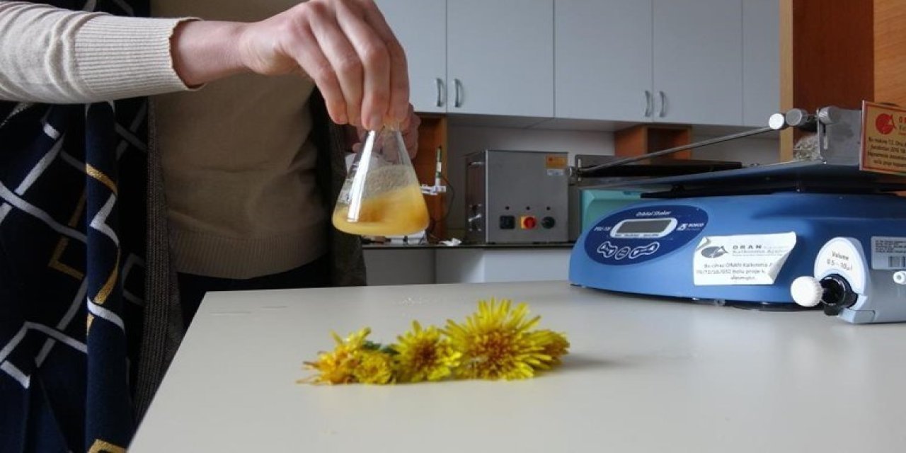 Yetişmediği yer neredeyse yok! Vücuda sağladığı faydalar ise saymakla bitmiyor