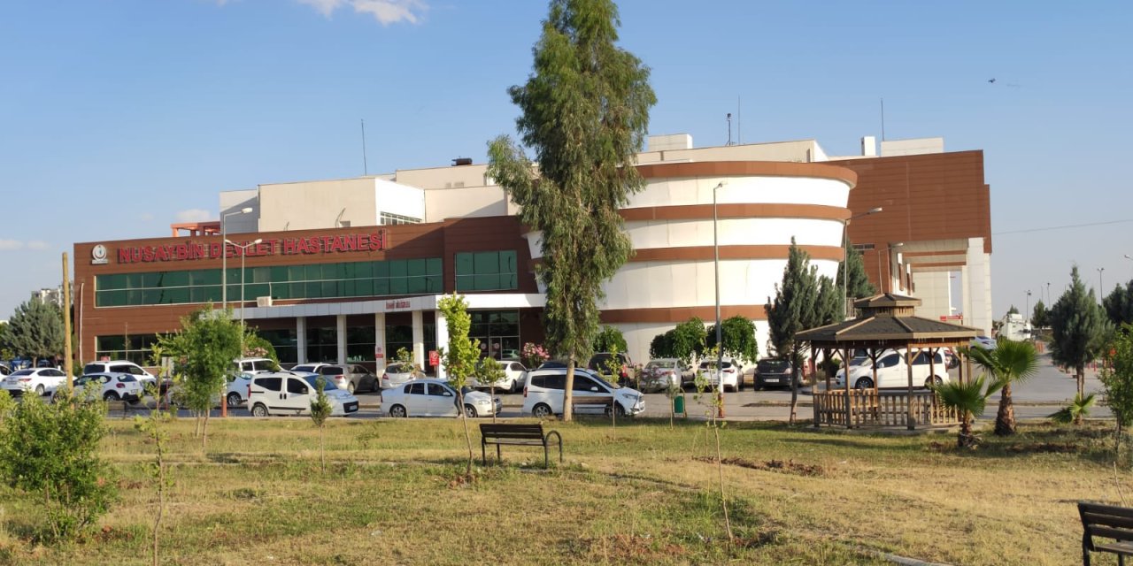 Mardin'de güvenlik korucusu öldürüldü: 5 şüpheli gözaltında