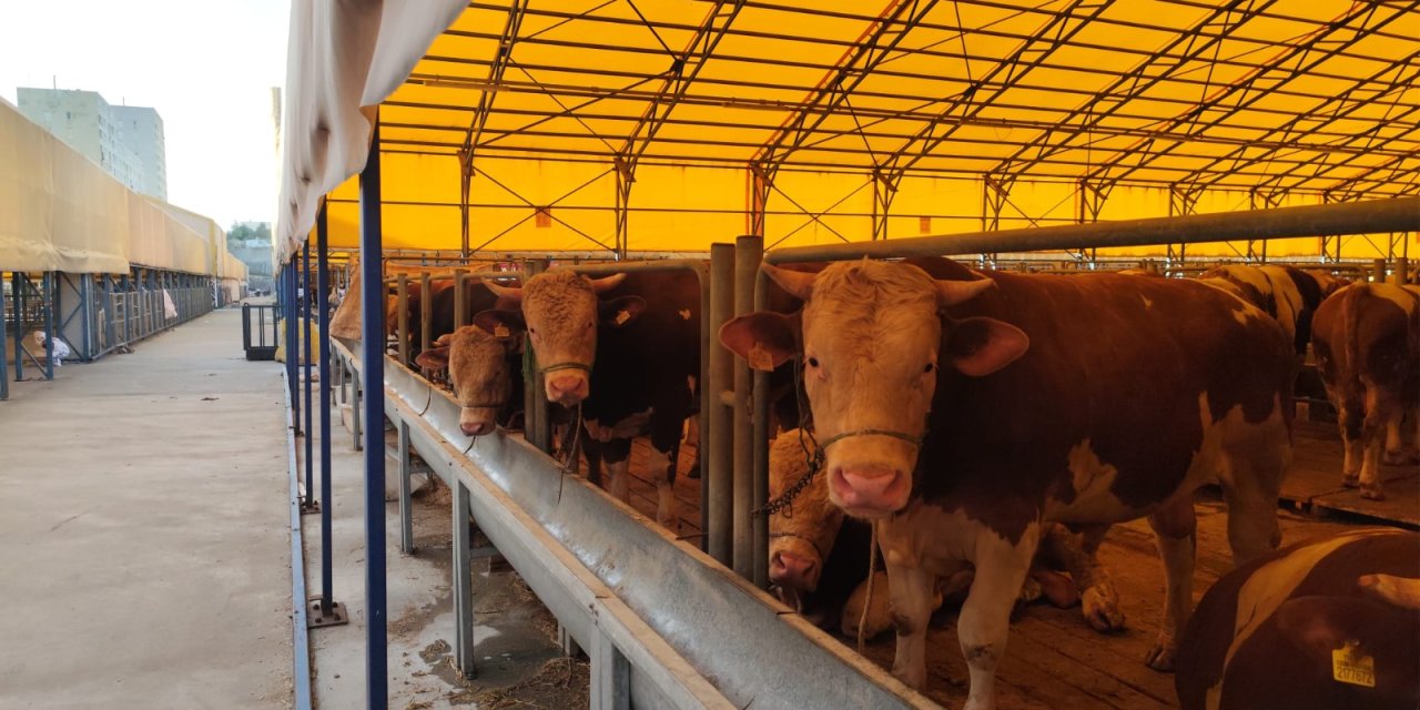 İstanbul Kurban Bayramına Hazırlanıyor