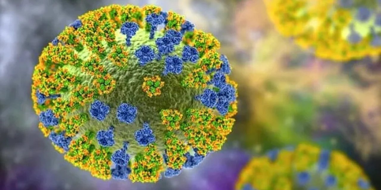 Meksika'dan DSÖ'ye kuş gribi itirazı: Ölüm olmadı