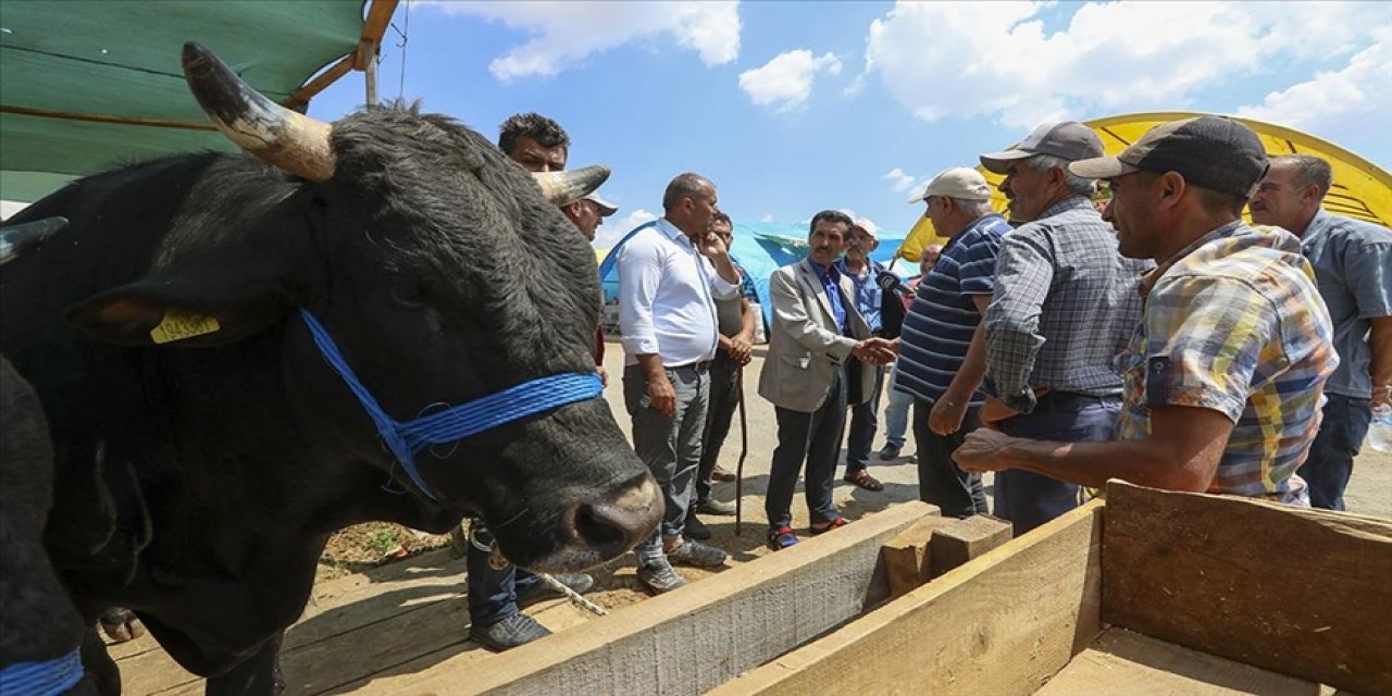 IPA Başkanı Buğra Gökçe: Kurban Bayramı’nda vatandaşın kurban kesmesi de memlekete gitmesi de ateş pahası