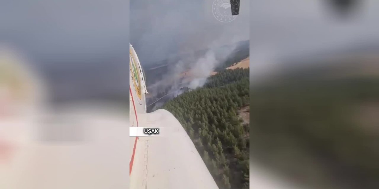 Uşak'taki orman yangını kontrol altına alındı