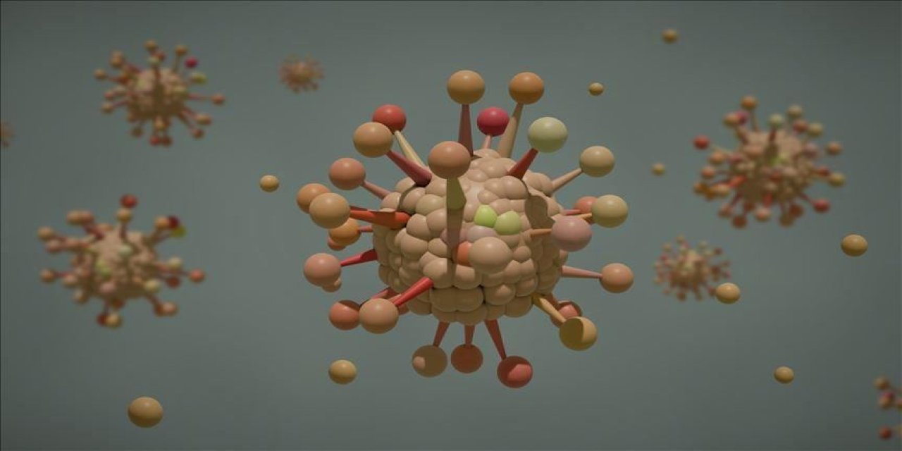 FLiRT ve LB.1: Yeni varyantlar ABD'de acile yatışları yüzde 18 artırdı