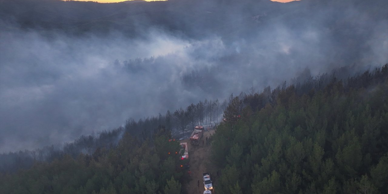 Bergama'da orman yangını 2. gününde
