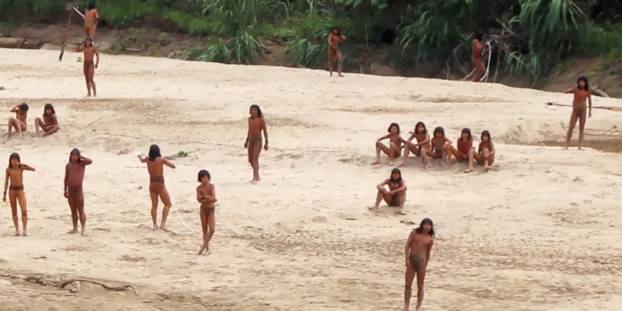 Kimseye rahat yok! Dünyadan izole kabilenin ormanında ağaç kesiyorlar