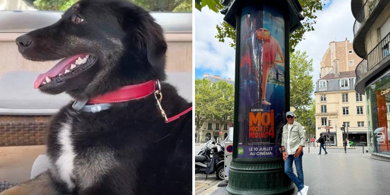 Ertuğrul Özkök: CHP'li belediyelere hayvan öldürecek kayyımlar mı tayin edeceksiniz?