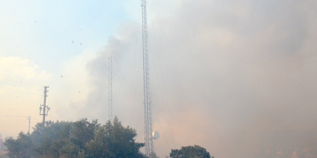 Dikili Belediye Başkanı Kırgöz: Yangının ilerlemesi durduruldu
