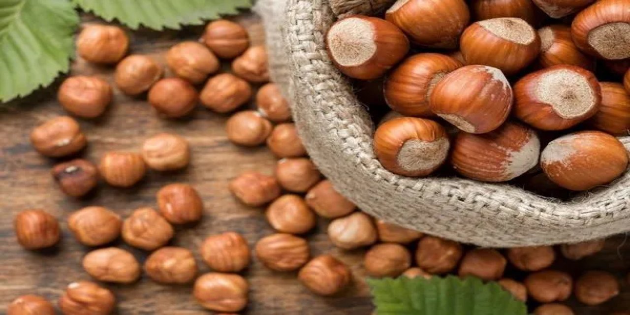 CHP'nin mitingine saatler kala fındık fiyatı açıklandı