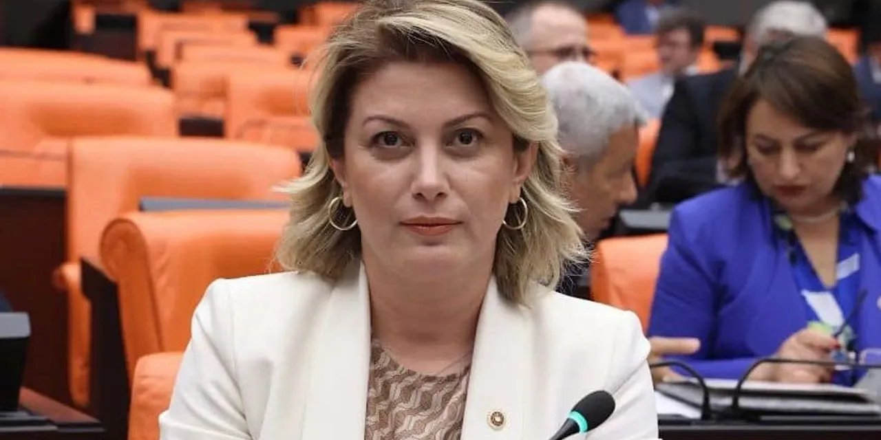 CHP Kadın Kolları Başkanlığı’na Asu Kaya seçildi