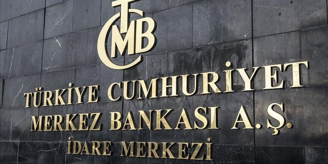 Erdal Sağlam: Küresel finans krizi Merkez Bankası'nı da vurdu