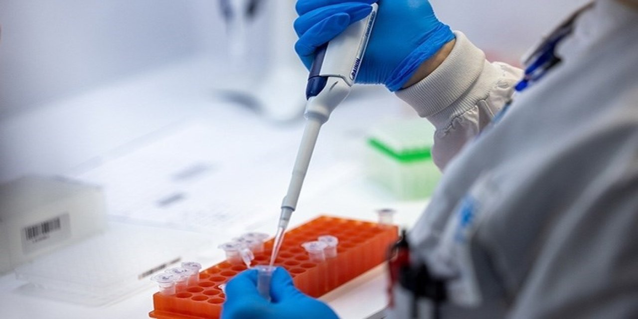 DSÖ Maymun Çiçeği Virüsü Nedeniyle Acil Durumu İlan Etti