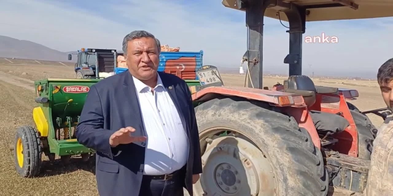 Çiftçinin patatesi tarlada kaldı: Bu halk, biz ekmezsek, dikmezsek ne yiyecek?