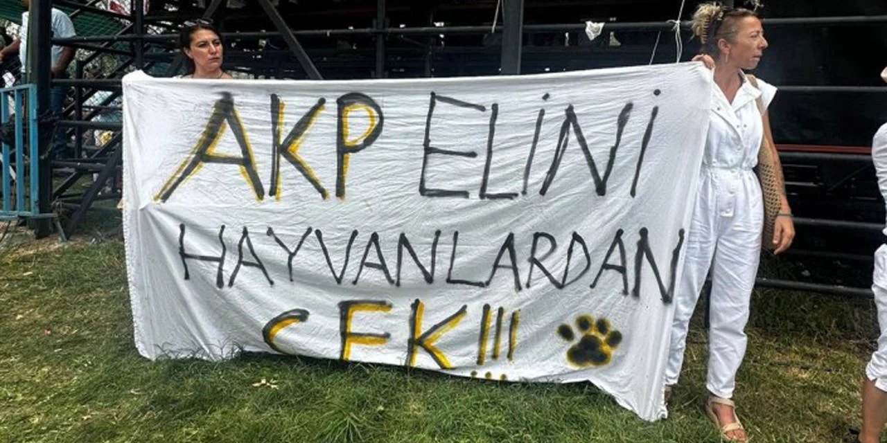 AKP’li vekilden hayvan hakları savunucusuna tehdit
