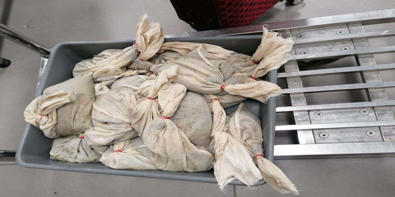 İstanbul Havalimanı’nda 20 bin adet sülük yakalandı