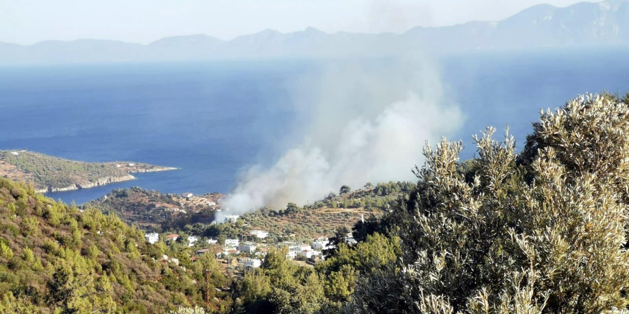 Bodrum'da orman yangını