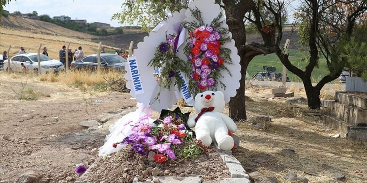 Eski Interpol Başkanı: Narin cinayetinin örtbas edilmesi koordineli